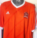 alternative blackpool fc shirt 2015-16