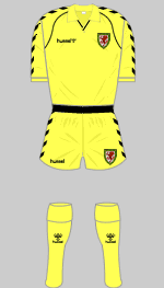 wales change kit 1987